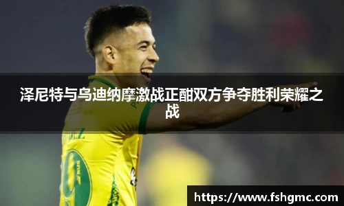 泽尼特与乌迪纳摩激战正酣双方争夺胜利荣耀之战