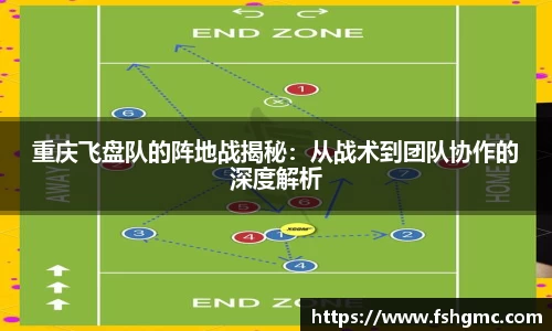 重庆飞盘队的阵地战揭秘：从战术到团队协作的深度解析
