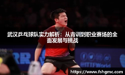 武汉乒乓球队实力解析：从青训到职业赛场的全面发展与挑战